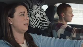 New Driver (The Zebra :30 Second Commercial)