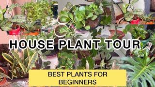 House Plant Tour As A New Plant Parent In Uganda// My Small Ubran Farming In My Little Space