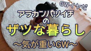 60代バツイチのケチでザツな暮らし / ただ疲れるだけのGW