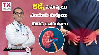 కిడ్నీసమస్యలు: A Guide to Understanding Kidney Disease || Dr. Praveen Kumar Etta | TX Hospitals