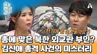 파키스탄 주재 북한 외교관 부인 '김신애 총격 사건'의 미스터리 | 이제 만나러 갑니다 703 회