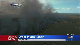 Brush Fire In West Miami-Dade