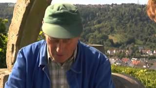 Stadtrundgang durch Weinstadt - Blick in die Remstalkellerei und auf die Weinberge - SWR Fernsehen