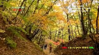 K-ROADTRIP KOREA trails Daegwanryung old roads,Road Of Red Leave 대관령옛길 단풍길#2