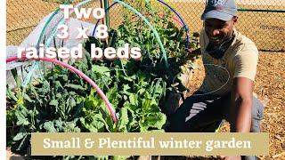 Small but Plentiful Winter Garden (Zone 7A,7B) | Raised bed gardening