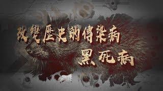 【台灣演義】黑死病天花 2020.03.15 | Taiwan History