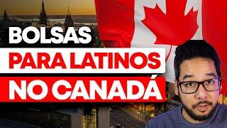 UMA DAS MELHORES UNIVERSIDADES DO CANADÁ COM BOLSAS ABERTAS!