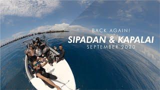 Scuba Diving in Sipadan and Kapalai 2.0 | We are BACK AGAIN!