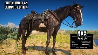 How to get a Reverse Dapple Black Thoroughbred Without an Ultimate Edition of the Game | RDR2