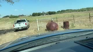 SILVERBACK AND MY MAN MOOSE AT STOCKDALE TX