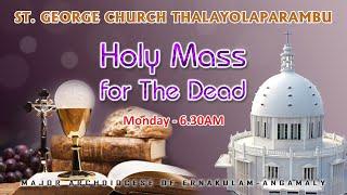 HOLY MASS | REV. FR. BENNY JOHN MARAMPARAMPIL | 12 NOV 2024  06.30 AM