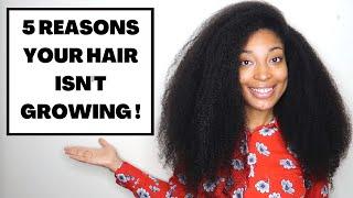 5 REASONS WHY YOUR HAIR ISN'T GROWING & How to Fix It (Length Retention Tips for Natural Hair)