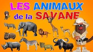 Foufou - Les Animaux de la Savane (Learn Animals of the Savannah for Kids) 4K