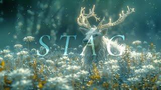 The Enchanted Stag  Guardian of the Forest Glade | Ethereal Ambience