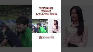 고려사이버대학교 입학 후 혜택들