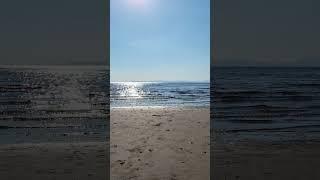 Ayr Beach: Scotland's Hidden Gem #shorts #ayrbeach #beachlife #explorescotland