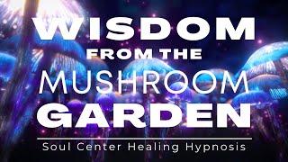 Wisdom from the Mushroom Garden - Soul Center Healing Hypnosis (SCHH) session