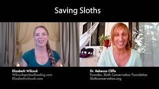 Saving Sloths: Elizabeth Wilcock and Sloth Conservation Foundation