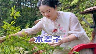 今天天公作美，老表拉秋子进山找木姜子，收获很多，回家做了一大锅木姜子辣椒酱，好吃极了