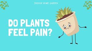 Can Plants Feel Pain? 