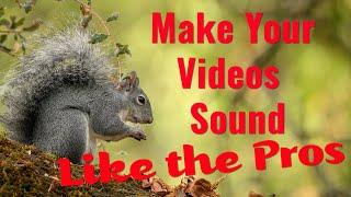 Make Your Videos SOUND Like a Pro!