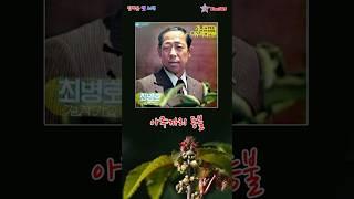 최병호- 아주까리 등불