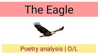 The Eagle | O/L | Poetry analysis