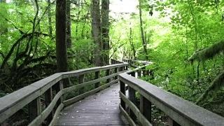 Explore Oregon Recreation: Wildwood Recreation Site