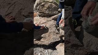 Earthquake Dome Birthday Climb ️  #hiking #climbingpeaks #visitmammoth #earthquakedome