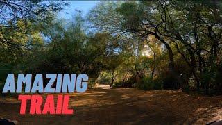 Mountain Biking Trail 100 Near Phoenix Arizona one of the best trails to ride a mountain bike