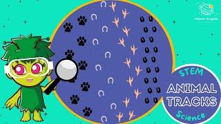 Animal Tracks and Footprints | KS1 Science | STEM and Beyond