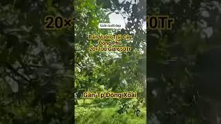 Bán vườn trái cây Công chứng ngay .DT 2000m2 (20m×100 ) .Giá ngộp bank .LH 0984 177565 tùng .