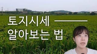 토지시세아는방법,토지실거래가알아보는법