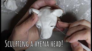 Sculpting a hyena head!