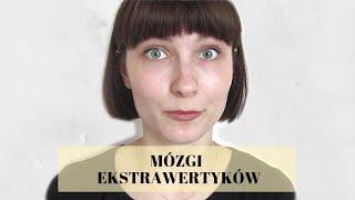 Czy ekstrawertyk ma inny mózg? | jestem Jul