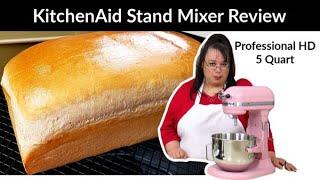 KitchenAid Stand Mixer Professional HD Review | 5 Quart Bowl Lift | Amy Learns to Cook