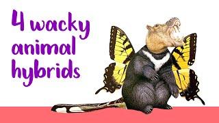 Creating Wacky Animal Hybrids From Magazine Cut Outs