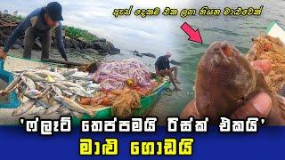 Amazing Way Of Fishing In Small Sailing Vessel | Sri Lankan Fishing | SL Fisherman