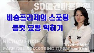 최미경 원장의 비숑프리제 - 스포팅 몸컷 시저링 요령 ㅣ bichon frise body cut grooming tips