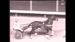 Australasian Harness Racing Year 1998-99 (2/5)