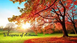 Beautiful Relaxing Guitar and Piano Music "Whispers of Autumn" in 4K