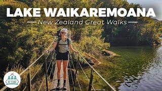 I took a 65 year old hiking for the FIRST TIME - Lake Waikaremoana New Zealand - Ep4