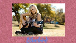 Miranda Lambert - Bluebird [Brian BigBri Jones Country Music]