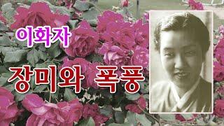 이화자-장미와 폭풍(영상출연 가수 박채영) 스타365