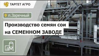 Производство семян сои на современном Семенном заводе Таргет Агро