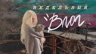 VLOG: мой день рождения, встреча с подписчиками, рутина // пытаюсь жить!