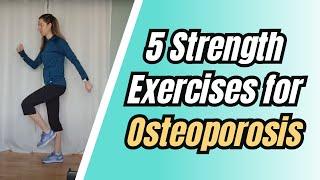 5 Weight Bearing Exercises For Osteoporosis | Strength Exercises for Adults 50+