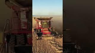 heavy harvester machine....#shorts #viralvideo #op