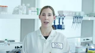 Visium Spatial Gene Expression Protocol | cDNA Amplification