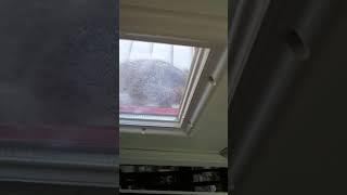 Raccoon tries to break into my house